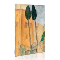 ברושים ובתים בקנז