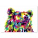 pop art - Bear