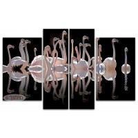פלמינגו