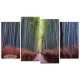 יער במבוק, קיוטו,  תמונת נוף בחלקים