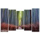 יער במבוק, קיוטו,  תמונת נוף בחלקים