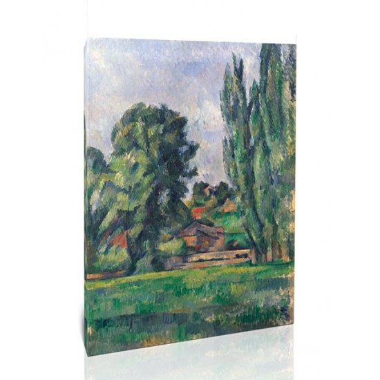 נוף עם עצי צפצפה - Paul Cézanne