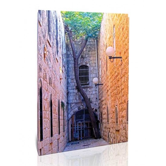 פריצה בין החומות, תמונות נוף ישראליות