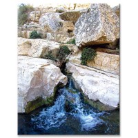 זרימה איטית