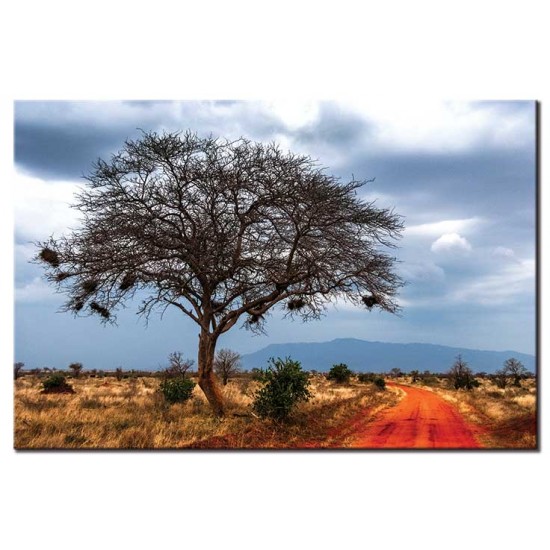טסאבו, קניה, תמונות קנבס מדבר