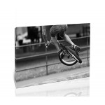 פעלולי BMX