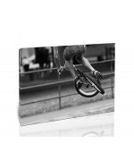 פעלולי BMX