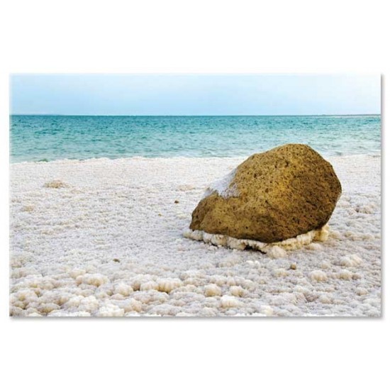 סלע בודד, ים המלח, תמונות קנבס טבע פראי