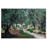 גת שמנים, ירושלים