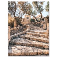 יפו העתיקה