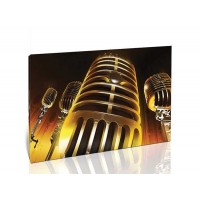 מיקרופונים עתיקים