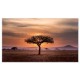 סרנגטי, טנזניה, תמונות קנבס טבע פראי