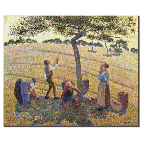 קטיף תפוחים - Camille Pissarro