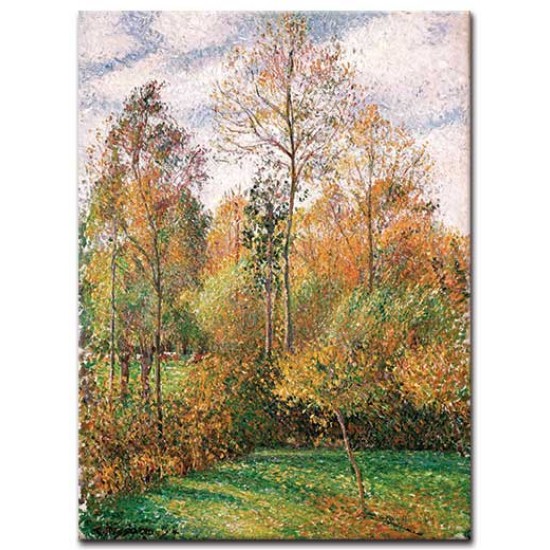 סתיו, עצי צפצפה בארגני - Camille Pissarro