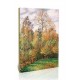 סתיו, עצי צפצפה בארגני - Camille Pissarro