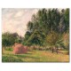 אלומות בארגני - Camille Pissarro