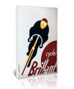 Cycle Brillant