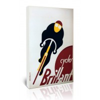 Cycle Brillant