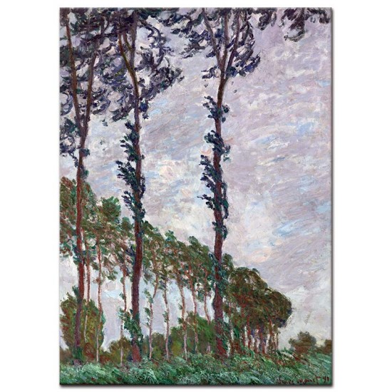 צפצפות, אפקט רוח ,קלוד מונה צפצפות, אפקט רוח - Claude Monet