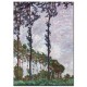 צפצפות, אפקט רוח ,קלוד מונה צפצפות, אפקט רוח - Claude Monet