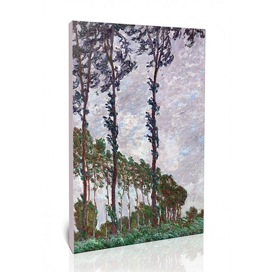 צפצפות, אפקט רוח ,קלוד מונה צפצפות, אפקט רוח - Claude Monet