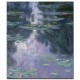 חבצלות מים 1907 - Claude Monet