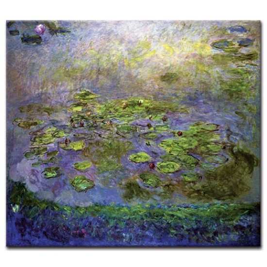 חבצלות מים IX - Claude Monet