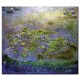 חבצלות מים IX - Claude Monet