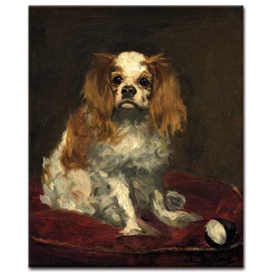 קינג צארלס ספנייל - Edouard Manet