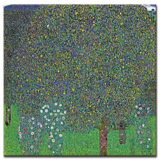 שיחי ורדים תחת העצים - Gustav Klimt