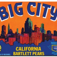 Big City Pears Big City Pears