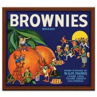 Brownies