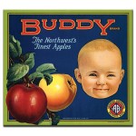 Buddy