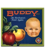 Buddy