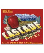 Cascade Washington Apples
