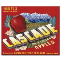Cascade Washington Apples