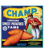 Champ Yams