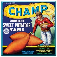 Champ Yams Champ Yams