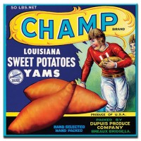 Champ Yams