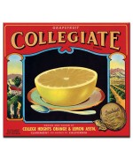 Collegiate