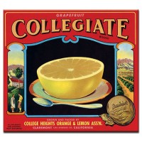 Collegiate