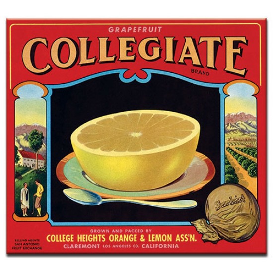 Collegiate, lables