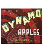 Dynamo