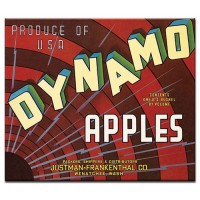Dynamo