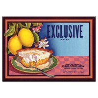 Exclusive Brand