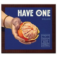 Have One