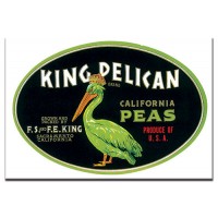 King Pelican