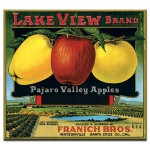 Lake View Brand