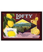 Lofty