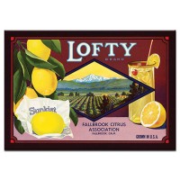 Lofty